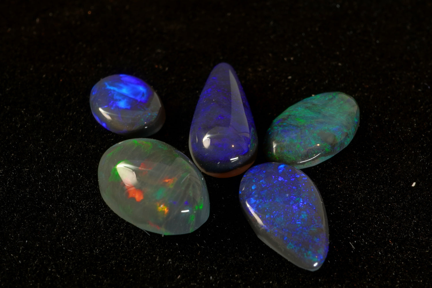 Black Opal