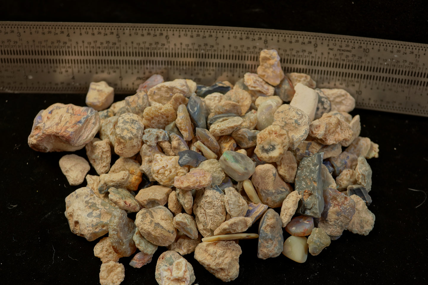 1400+ cts Lightning Ridge Rough Opal
