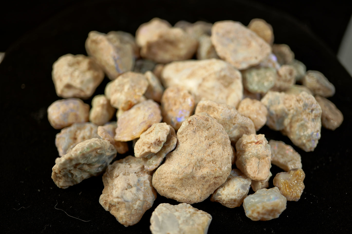 250 ct of nobbies (all sizes)