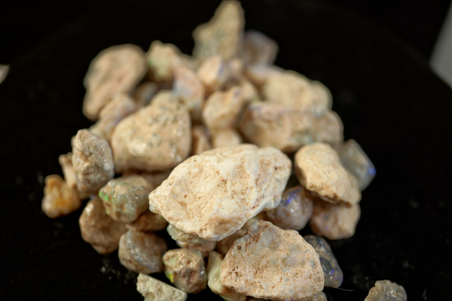 250 ct of nobbies (all sizes)