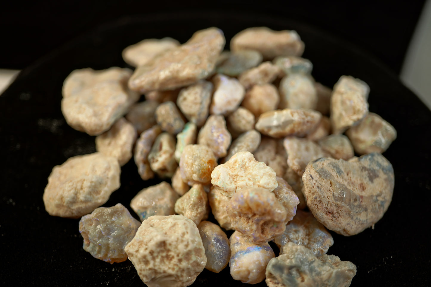 250 ct of nobbies (all sizes)