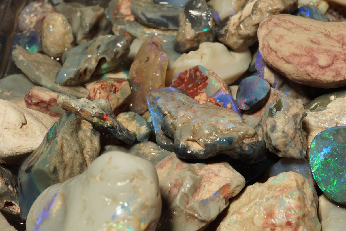 1000+ ct of Lightning Ridge rough opal + 5 black opal Rubs