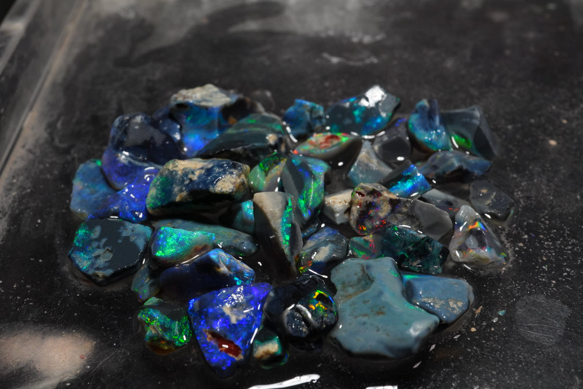 70 Ct Lightning Ridge Small Black Cutters- Advanced**