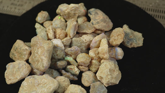 250 ct of nobbies (all sizes)